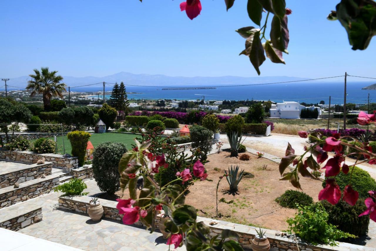 Dryades Family Hotel Дриос Экстерьер фото