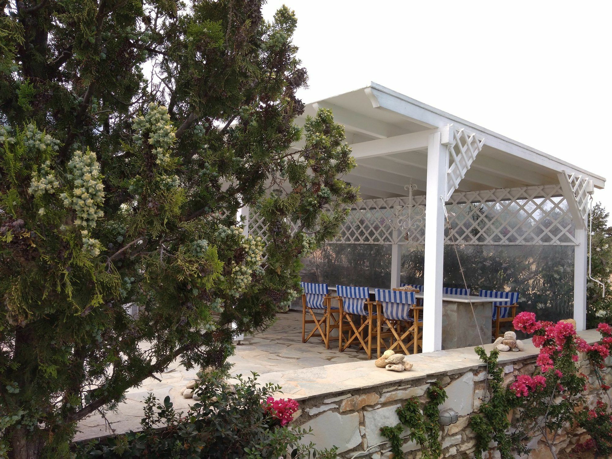 Dryades Family Hotel Дриос Экстерьер фото